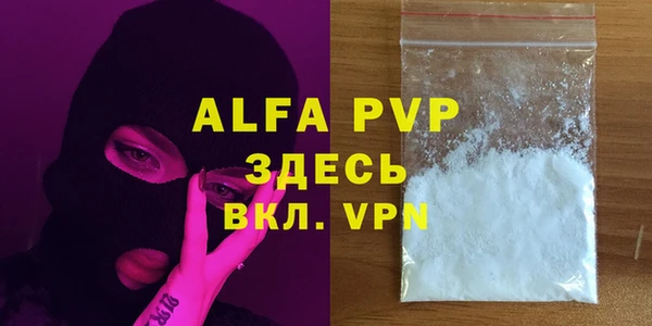 ПСИЛОЦИБИНОВЫЕ ГРИБЫ Заволжье