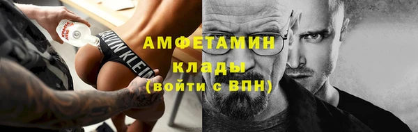 ПСИЛОЦИБИНОВЫЕ ГРИБЫ Заволжье
