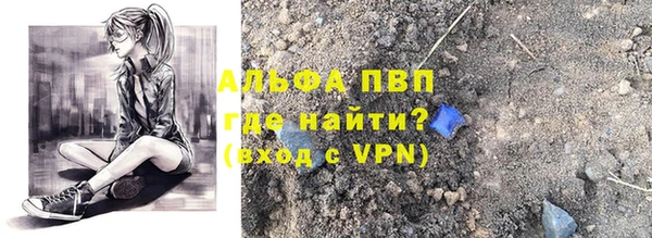 ПСИЛОЦИБИНОВЫЕ ГРИБЫ Заволжье
