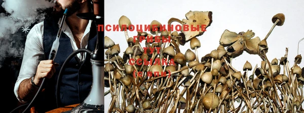 MESCALINE Заводоуковск