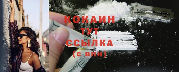 ПСИЛОЦИБИНОВЫЕ ГРИБЫ Заволжье